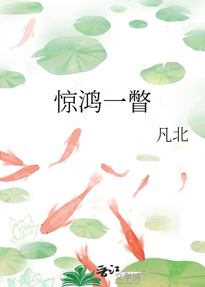 惊鸿一瞥